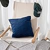 Pagnanno - Waves - Velvet Cushion Covers Set of 2