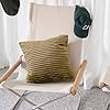 Pagnanno - Waves - Velvet Cushion Covers Set of 2