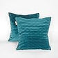 Pagnanno -  Waves - Velvet Cushion Covers Set of 2