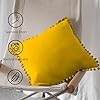 Pagnanno - Poms - Set of 2 Soft Velvet Cushion Covers