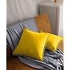 Pagnanno - Poms - Set of 2 Soft Velvet Cushion Covers