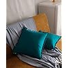 Pagnanno - Poms - Set of 2 Soft Velvet Cushion Covers